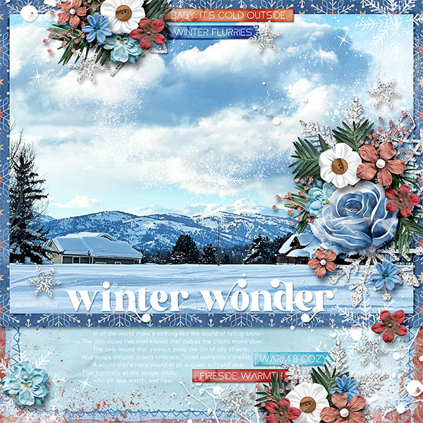 WINTER WONDER
