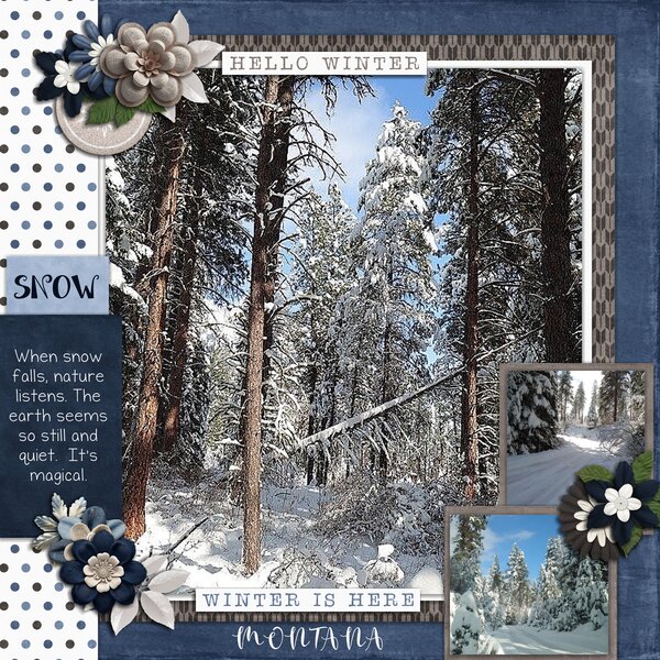 Winter Wonder