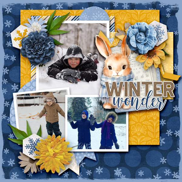 Winter Wonder