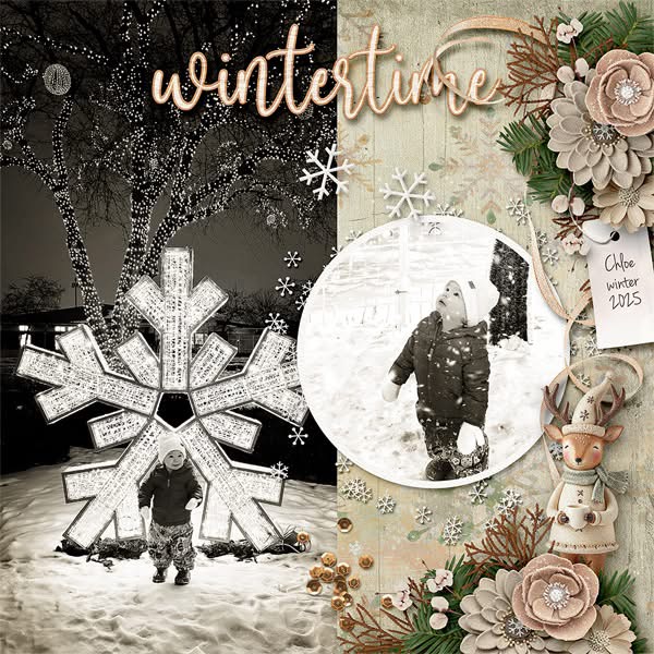 Winter Wonder