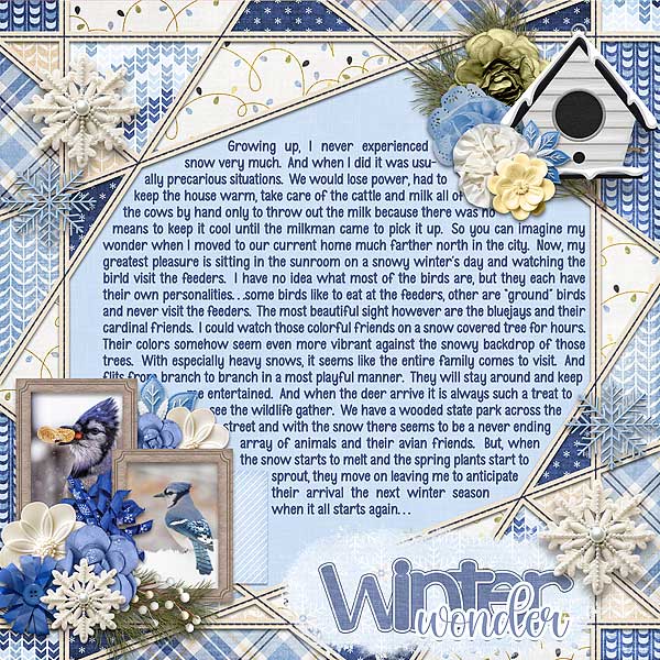 Winter Wonder