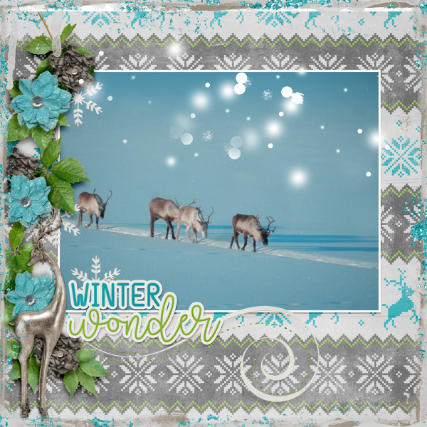 Winter-wonder2