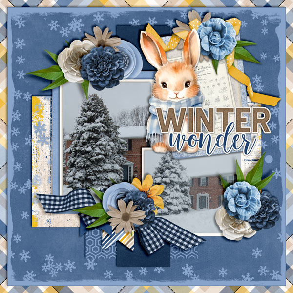 Winter-Wonder4