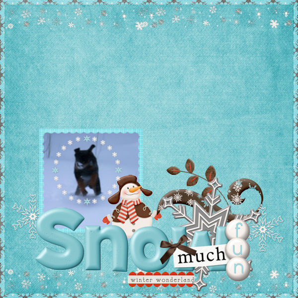 Winter Wonderland 1