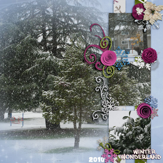 Winter Wonderland - 2010