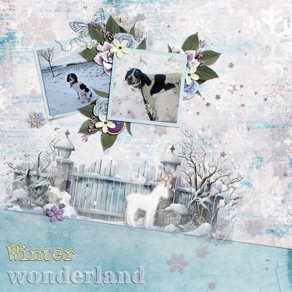 winter wonderland in december