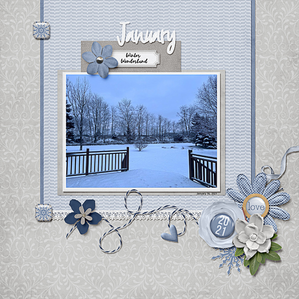 Winter Wonderland in January of 2021