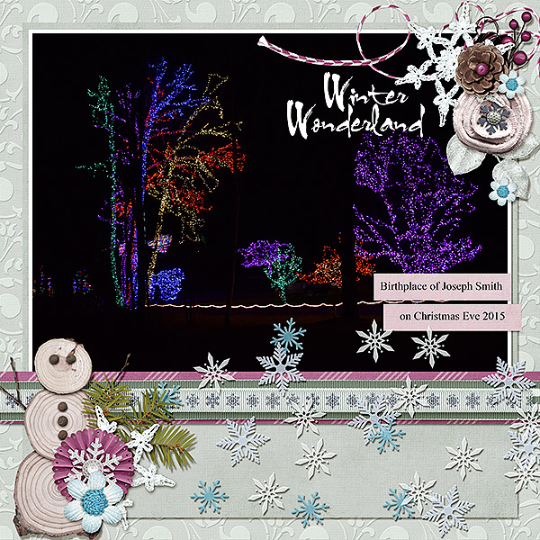 Winter Wonderland - Lights