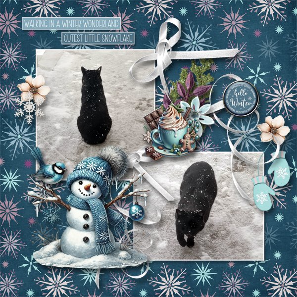Winter wonderland party