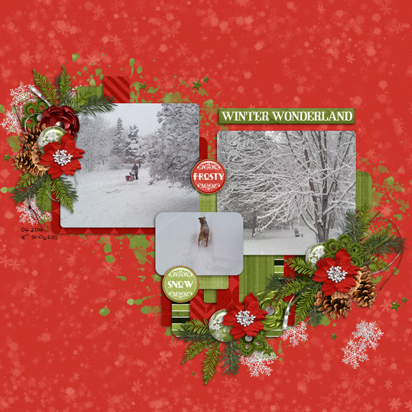 Winter Wonderland