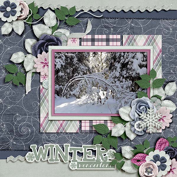 Winter Wonderland