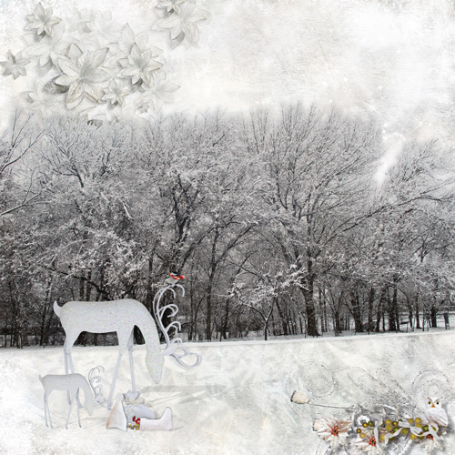 Winter Wonderland