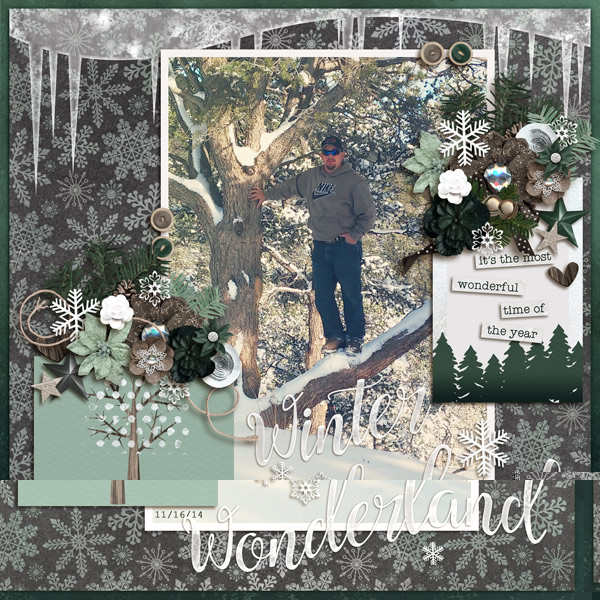 Winter Wonderland