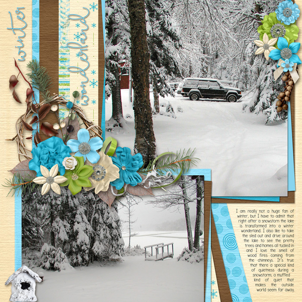 Winter Wonderland