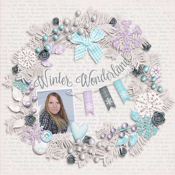 ~Winter Wonderland~