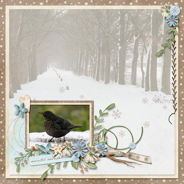Winter wonderland