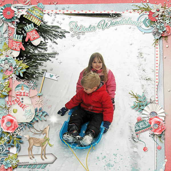 Winter Wonderland