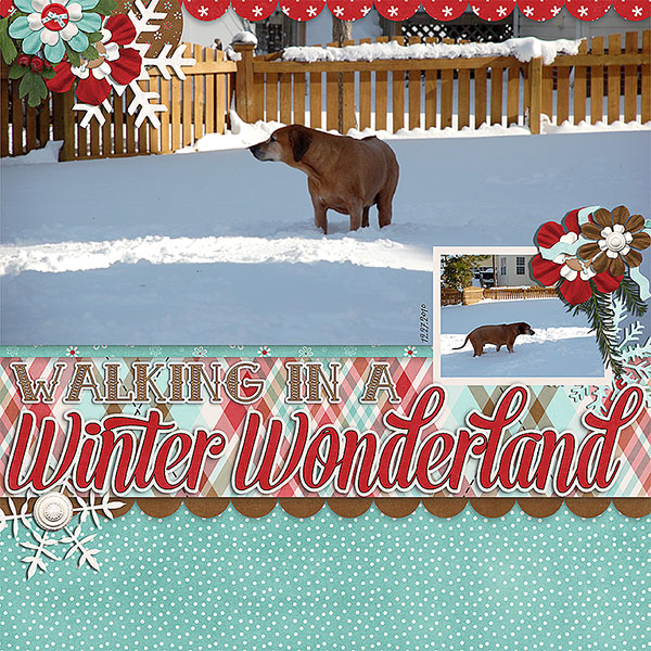 winter wonderland