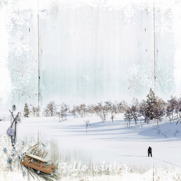 Winter  Wonderland