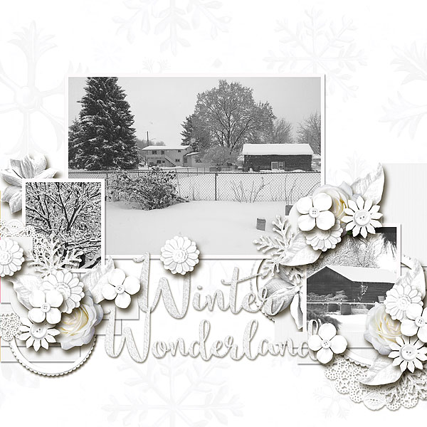 Winter Wonderland