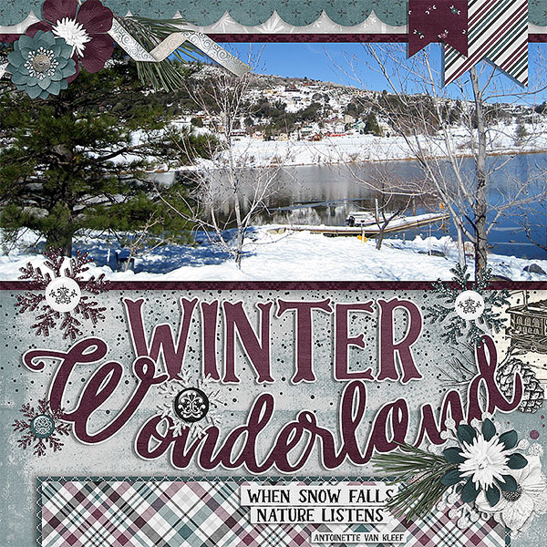 winter wonderland