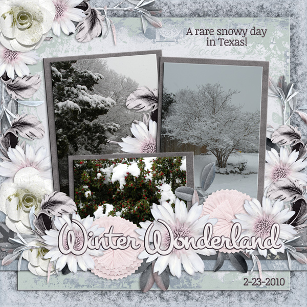 Winter Wonderland