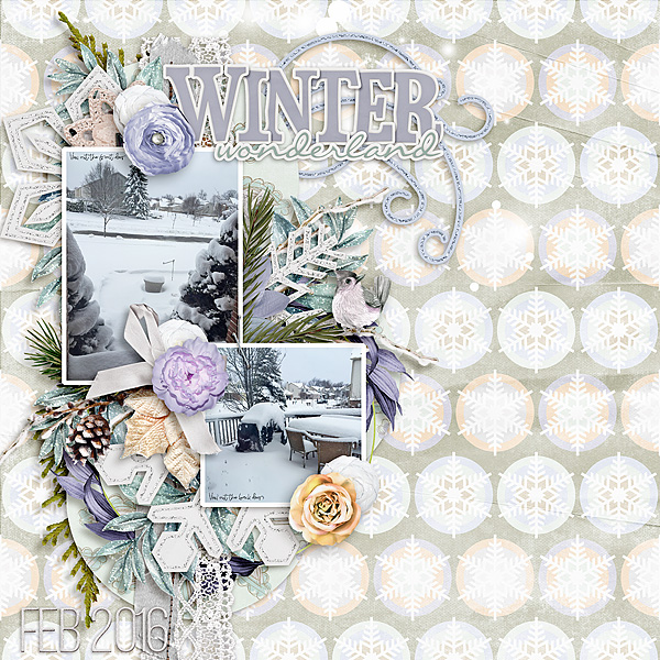 Winter wonderland