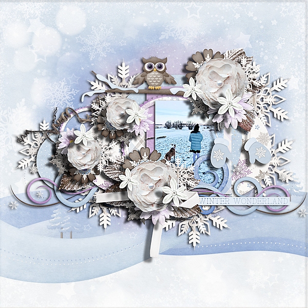 Winter wonderland