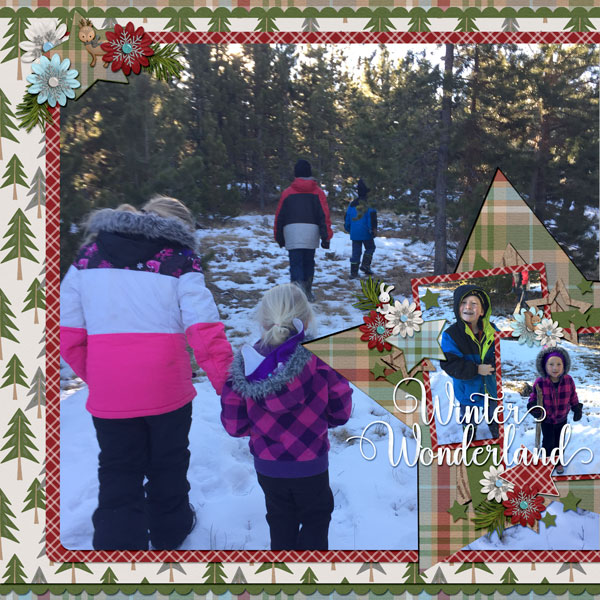 Winter Wonderland