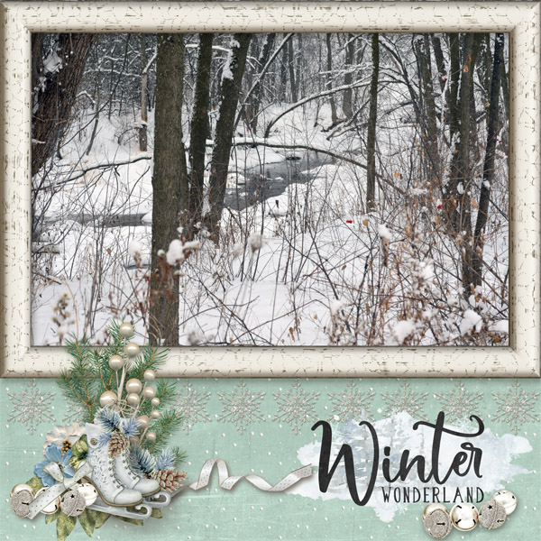 Winter Wonderland