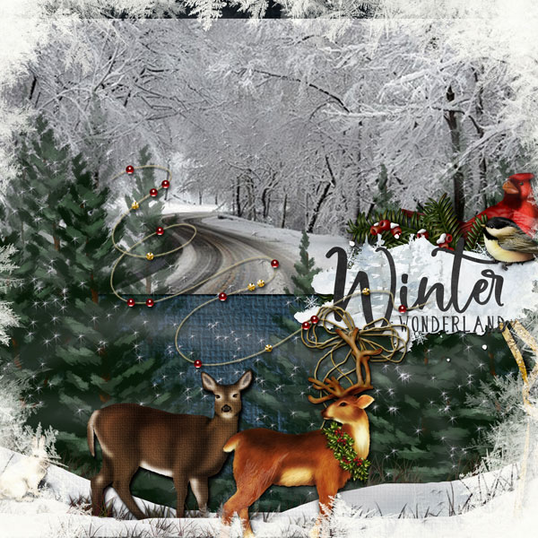 WINTER WONDERLAND