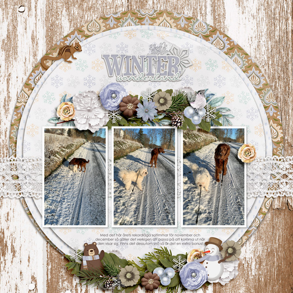 Winter Wonderland