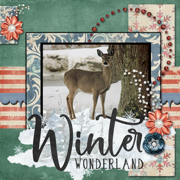 Winter Wonderland