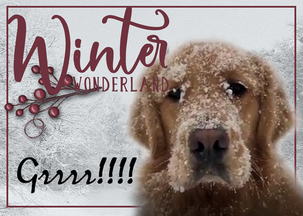 Winter Wonderland