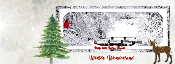 Winter Wonderland