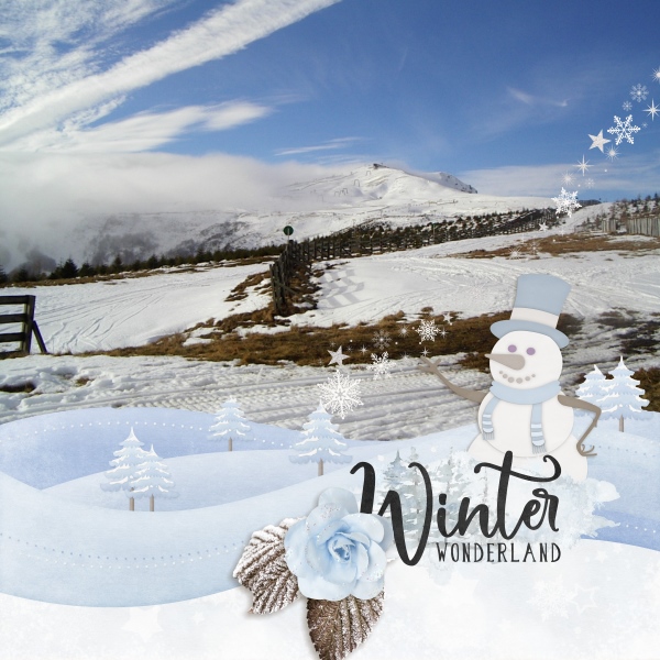 Winter wonderland