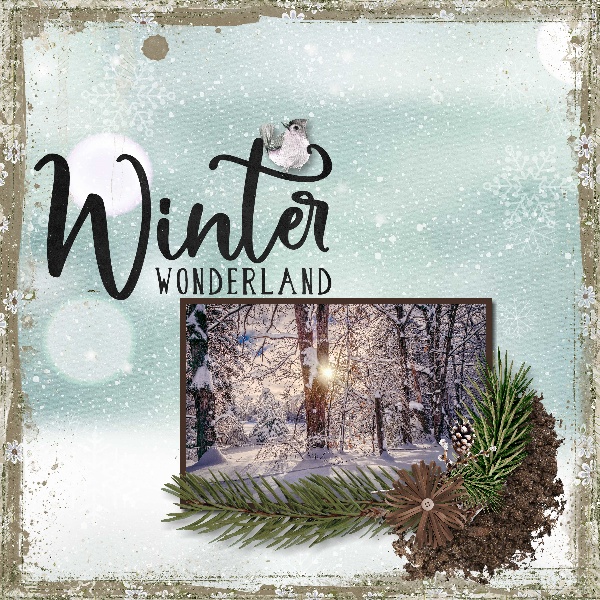 Winter Wonderland