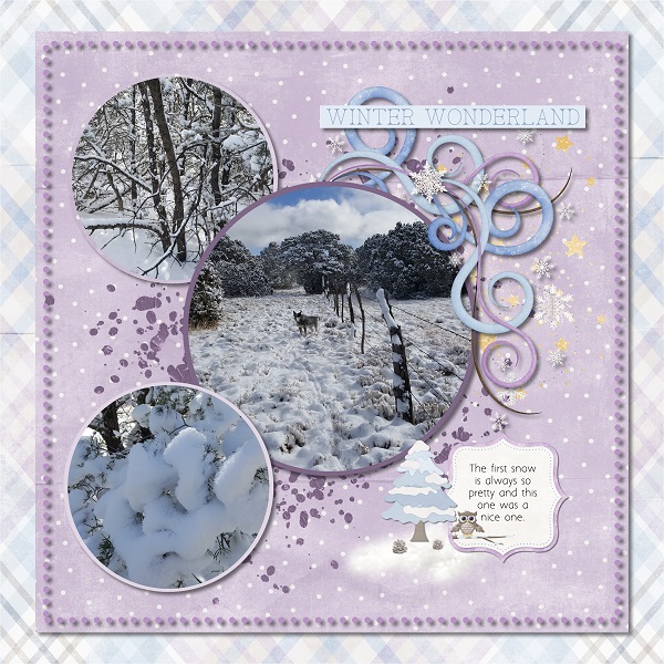 Winter Wonderland