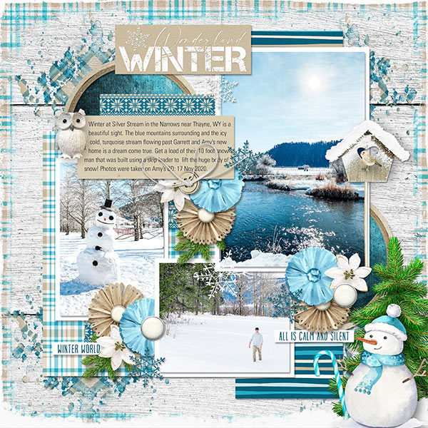 WINTER WONDERLAND