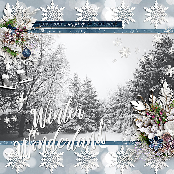Winter Wonderland
