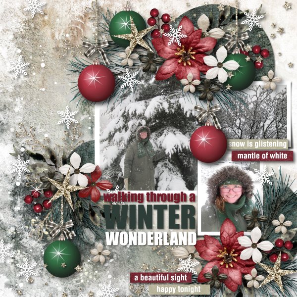 winter wonderland