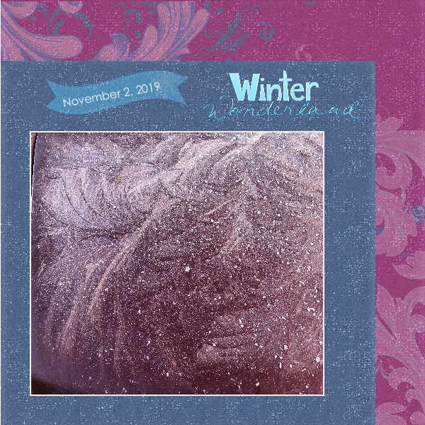 Winter wonderland