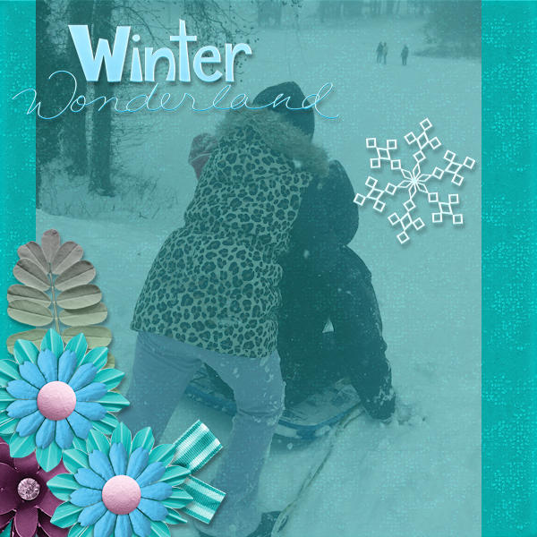 Winter Wonderland