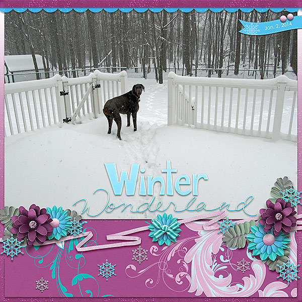 Winter Wonderland