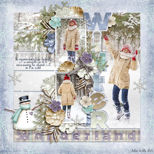 winter wonderland