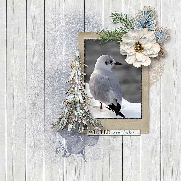 Winter Wonderland
