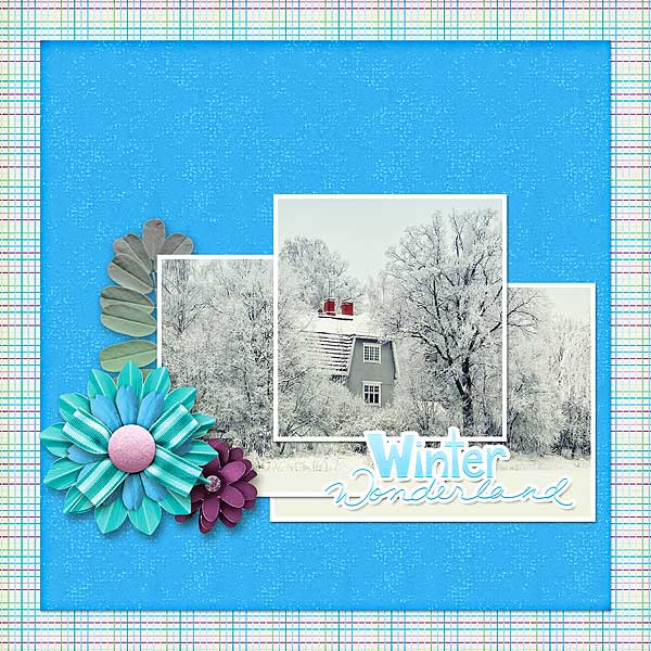 Winter Wonderland