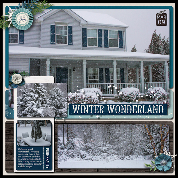 Winter Wonderland