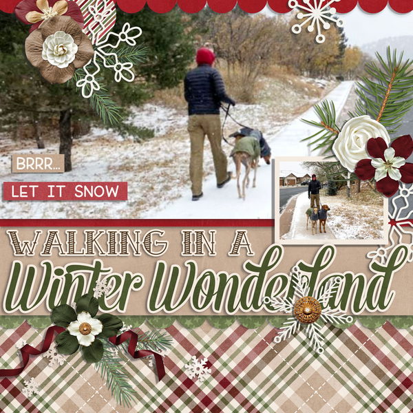 winter wonderland