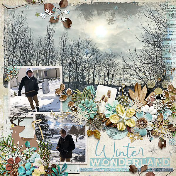 Winter Wonderland